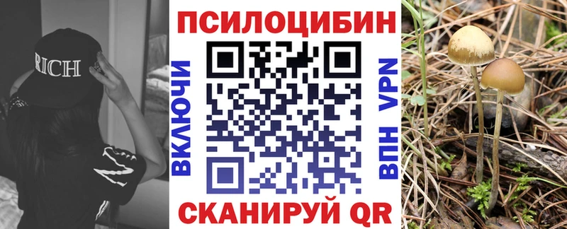 Галлюциногенные грибы Magic Shrooms дарнет шоп Муром